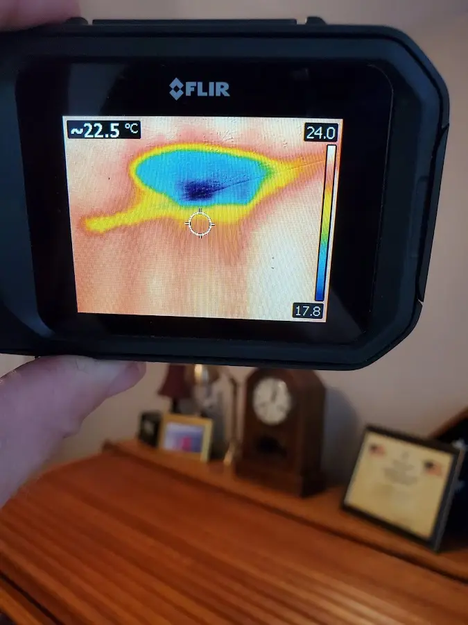 Thermal imaging inspection for water damage in Lincolnshire